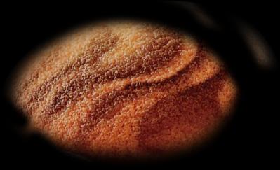 Simple Cocoa Twin Cake